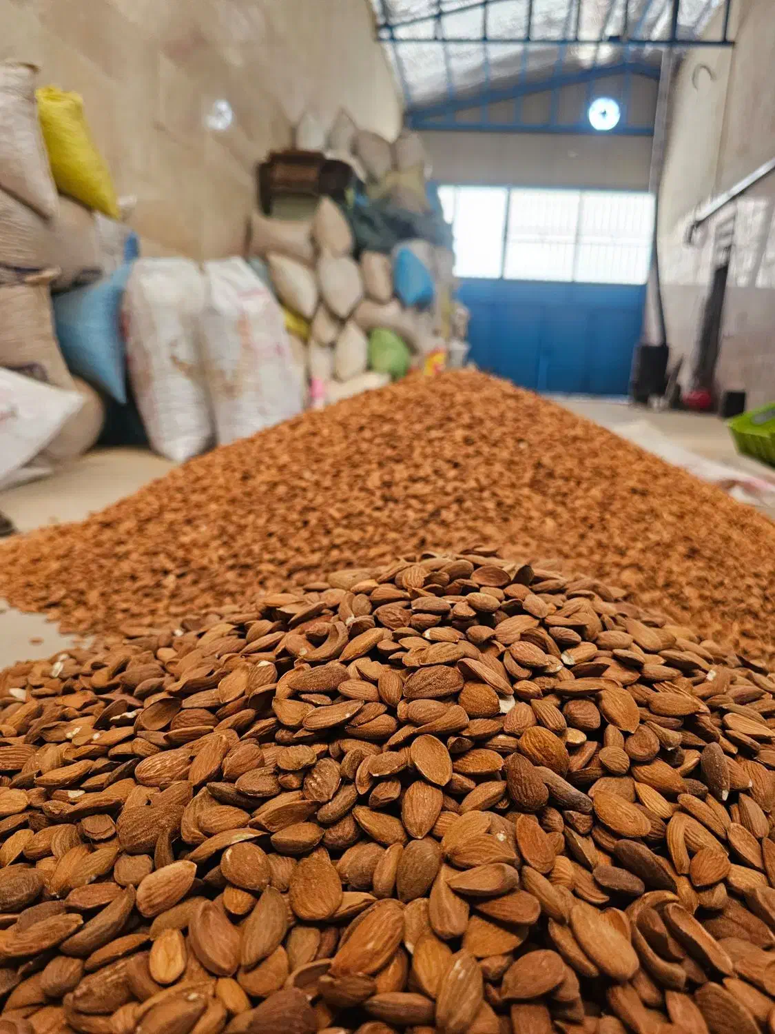 بازرگانی بادام درختی|خوردنی و آشامیدنی|ناغان, |دیوار
