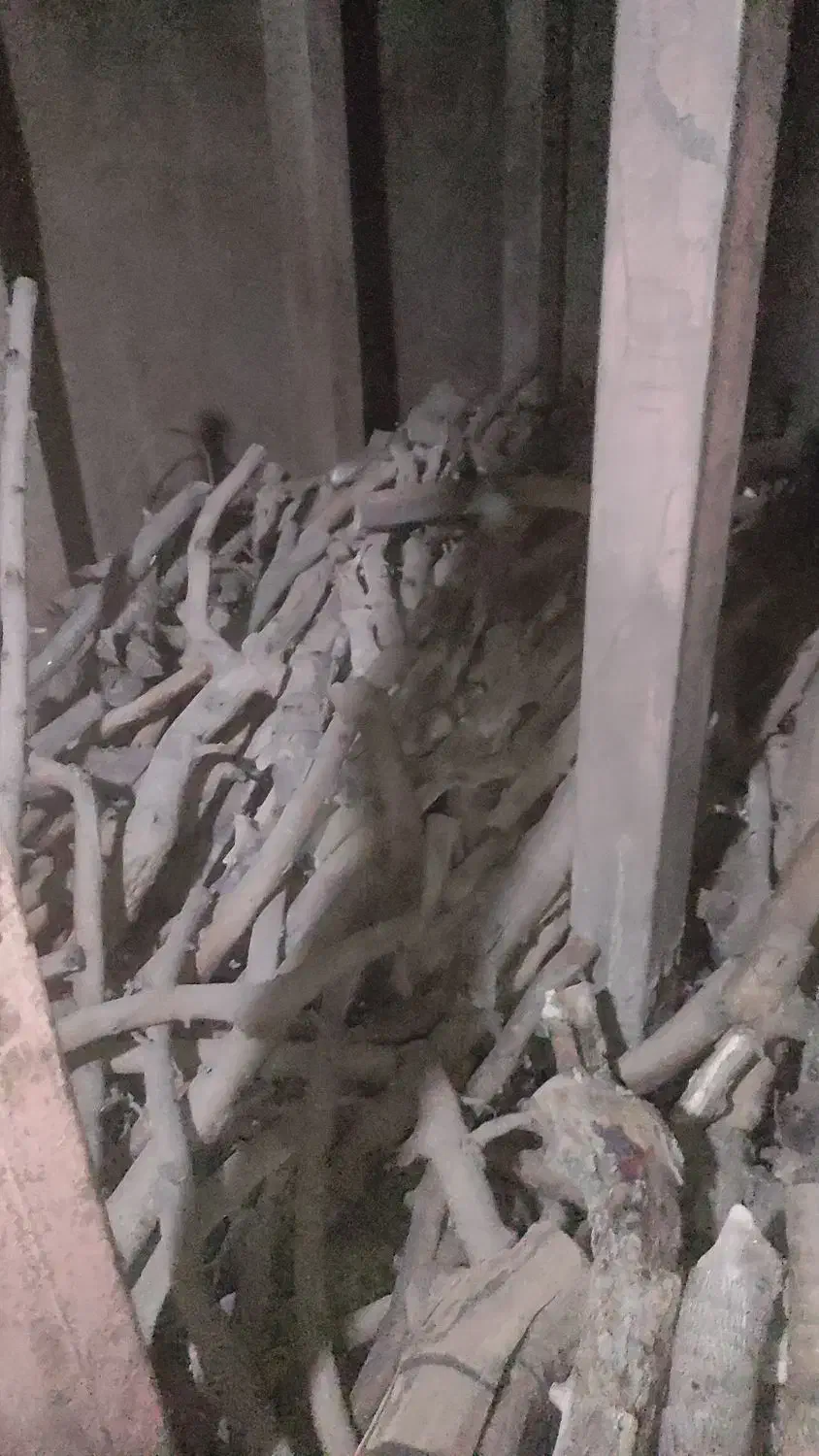 ذغال سیب درجه یک وکبابی|عمده‌فروشی|اصفهان, شهرک صنعتی جی|دیوار