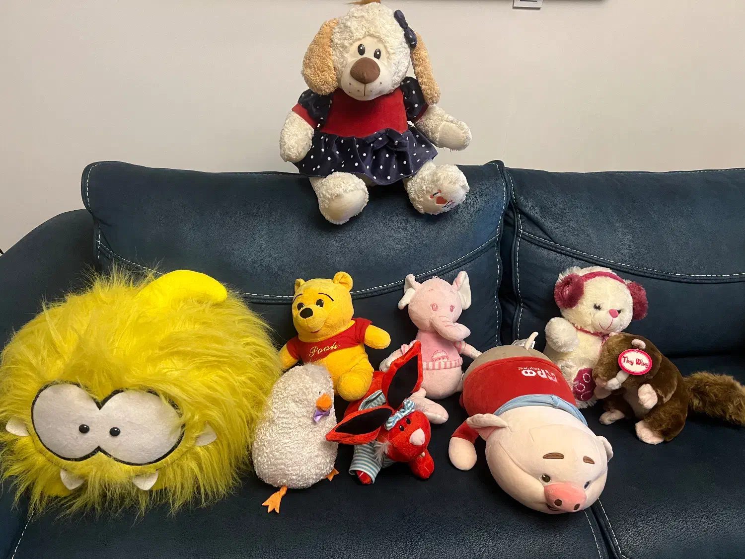 عروسک|اسباب‌بازی بچه|تهران, جنت‌آباد شمالی|دیوار