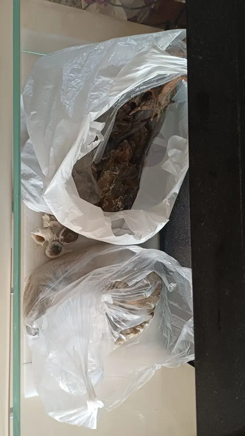 آکواریوم با تمام لوازم|لوازم جانبی حیوانات|رشت, جانبازان|دیوار