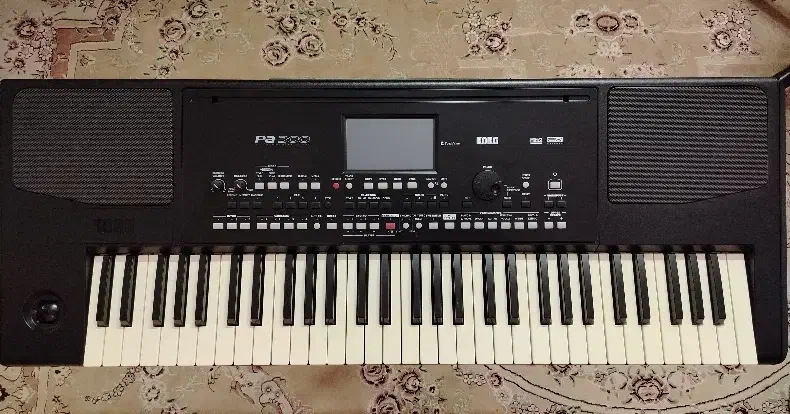 کیبورد pa300|پیانو، کیبورد، آکاردئون|جرقویه, |دیوار