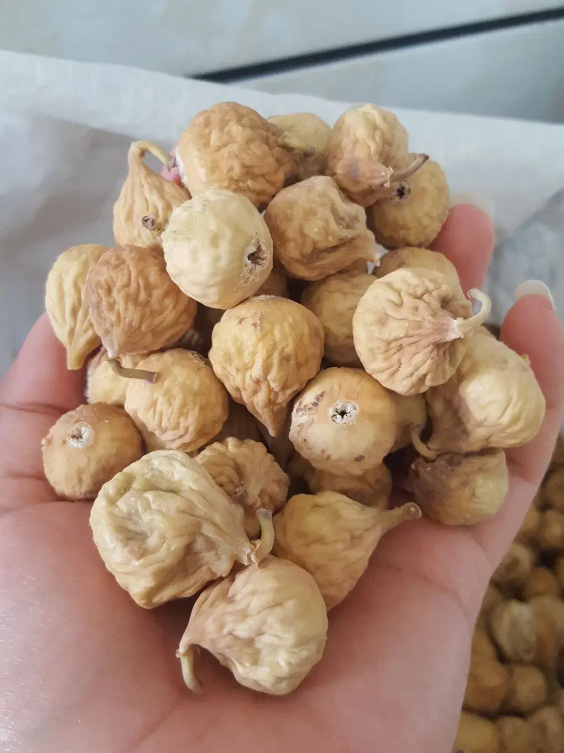 انجیر تازه استهبان|خوردنی و آشامیدنی|شیراز, خلدبرین|دیوار