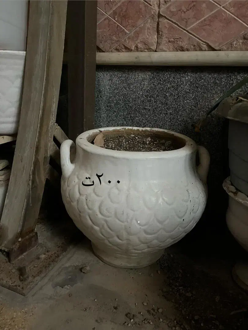 گلدان سرامیکی|گل و گیاه طبیعی|برازجان, |دیوار