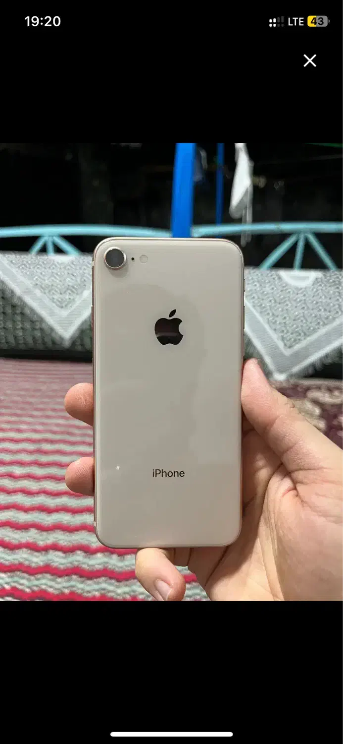 iPhone 8|موبایل|یزد, |دیوار