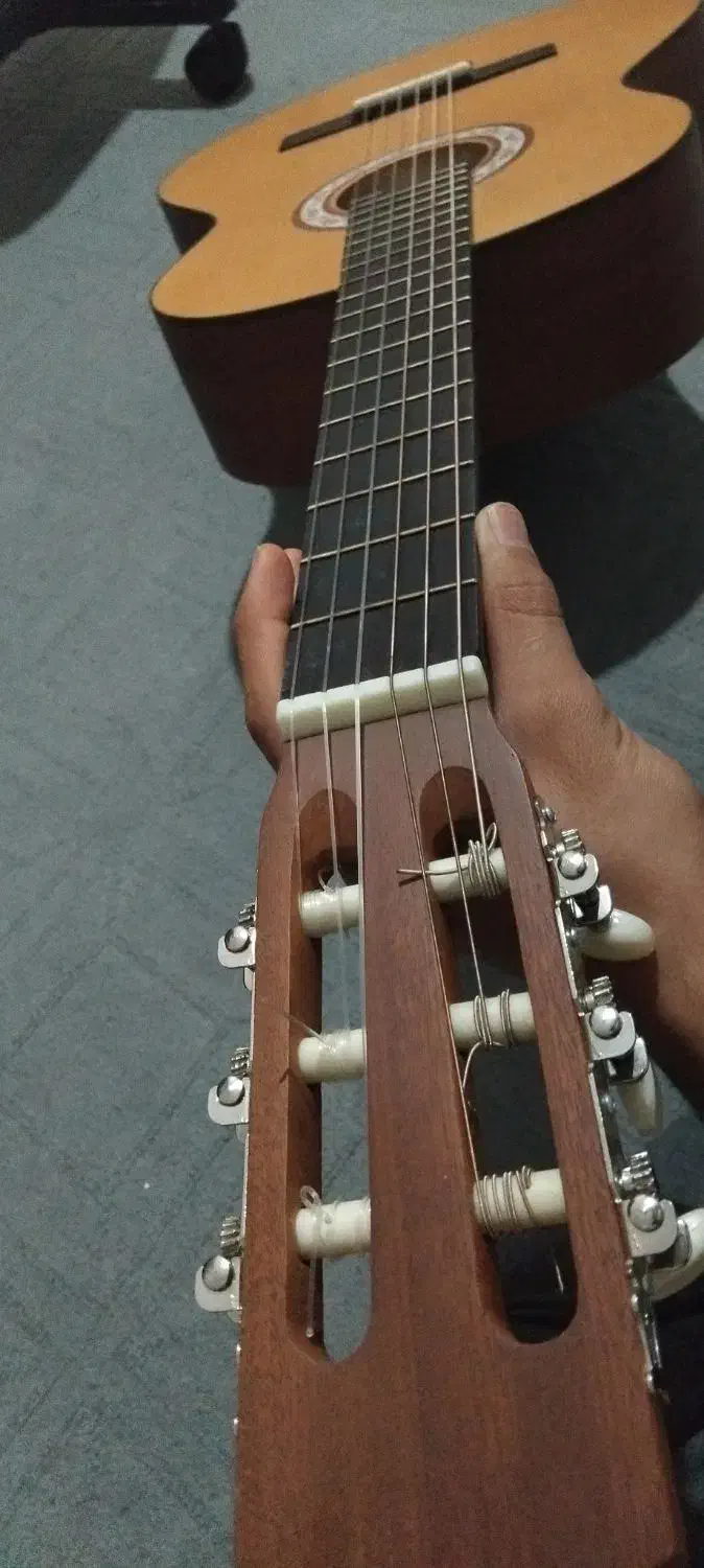 گیتار|گیتار، بیس، امپلیفایر|نیشابور, میدون بار|دیوار