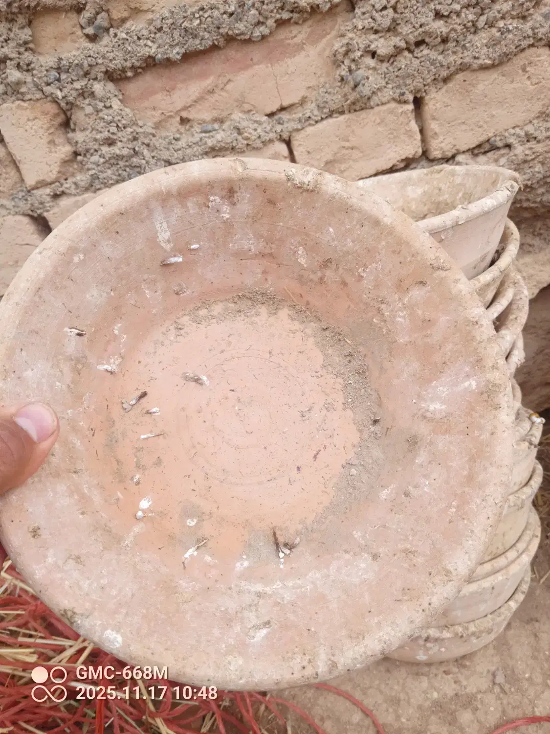 فروش جای تخم کبوتر|لوازم جانبی حیوانات|قروه, |دیوار