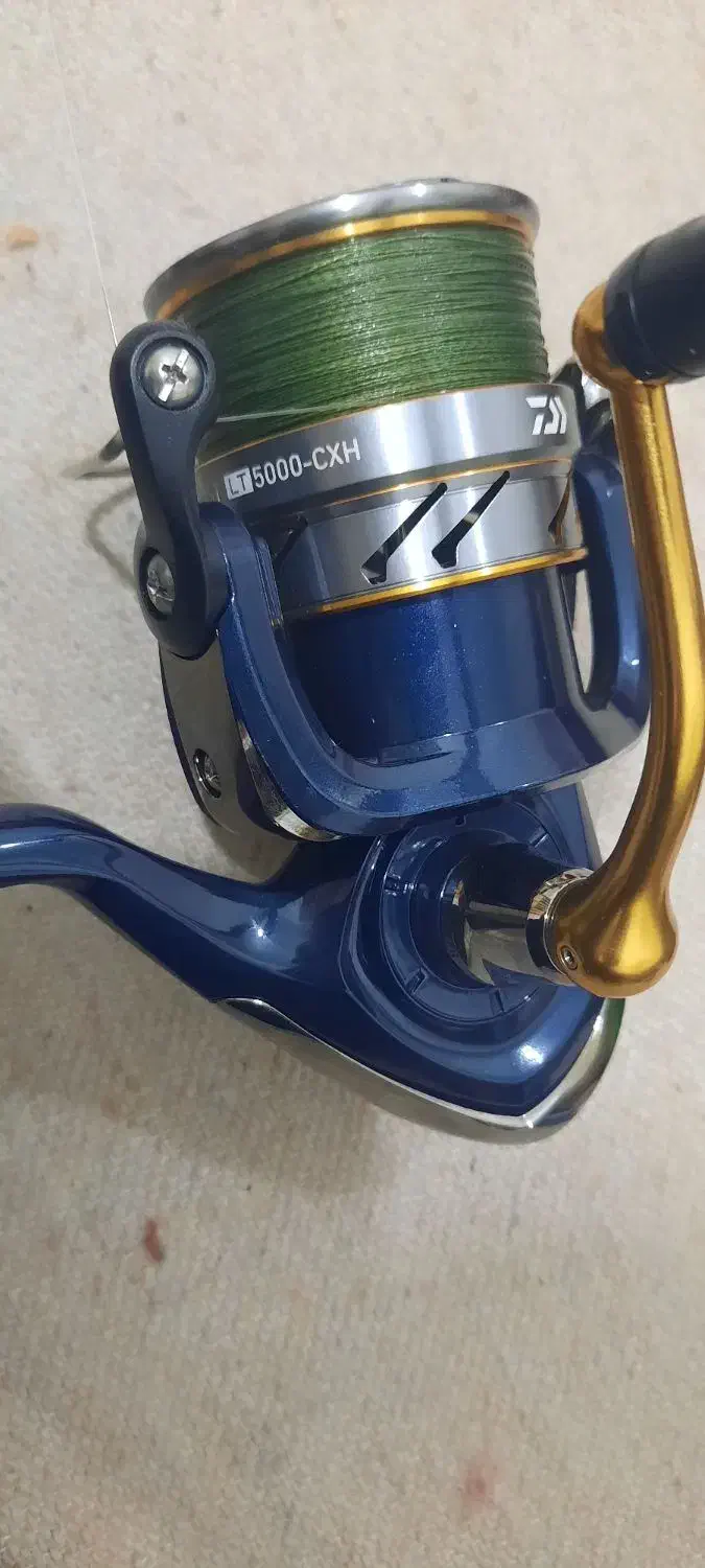 چوب و چرخ(لنسر)|ماهیگیری|اهواز, کیانپارس |دیوار