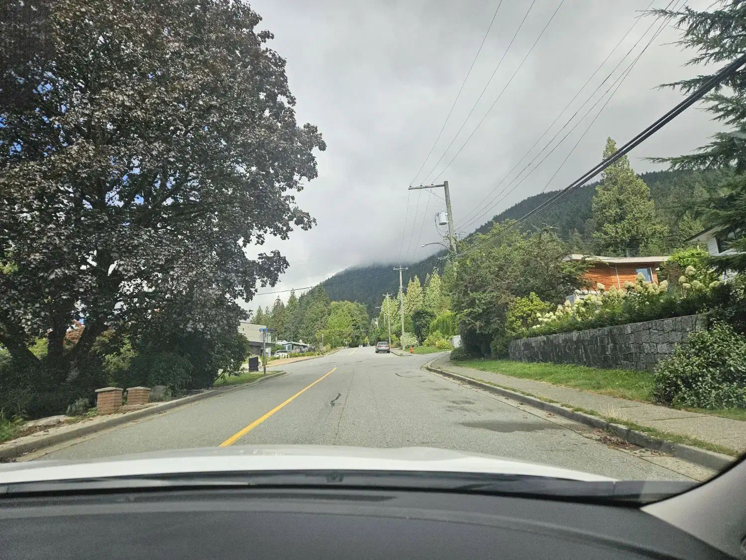 همسفر|تور و چارتر|تهران, نیلوفر|دیوار