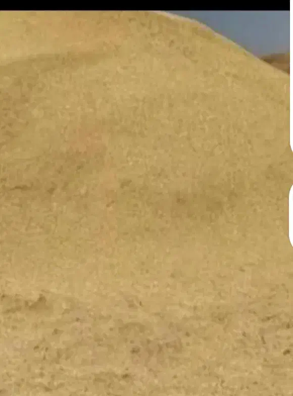 کاه عدس|عمدهفروشی|افشار, |دیوار