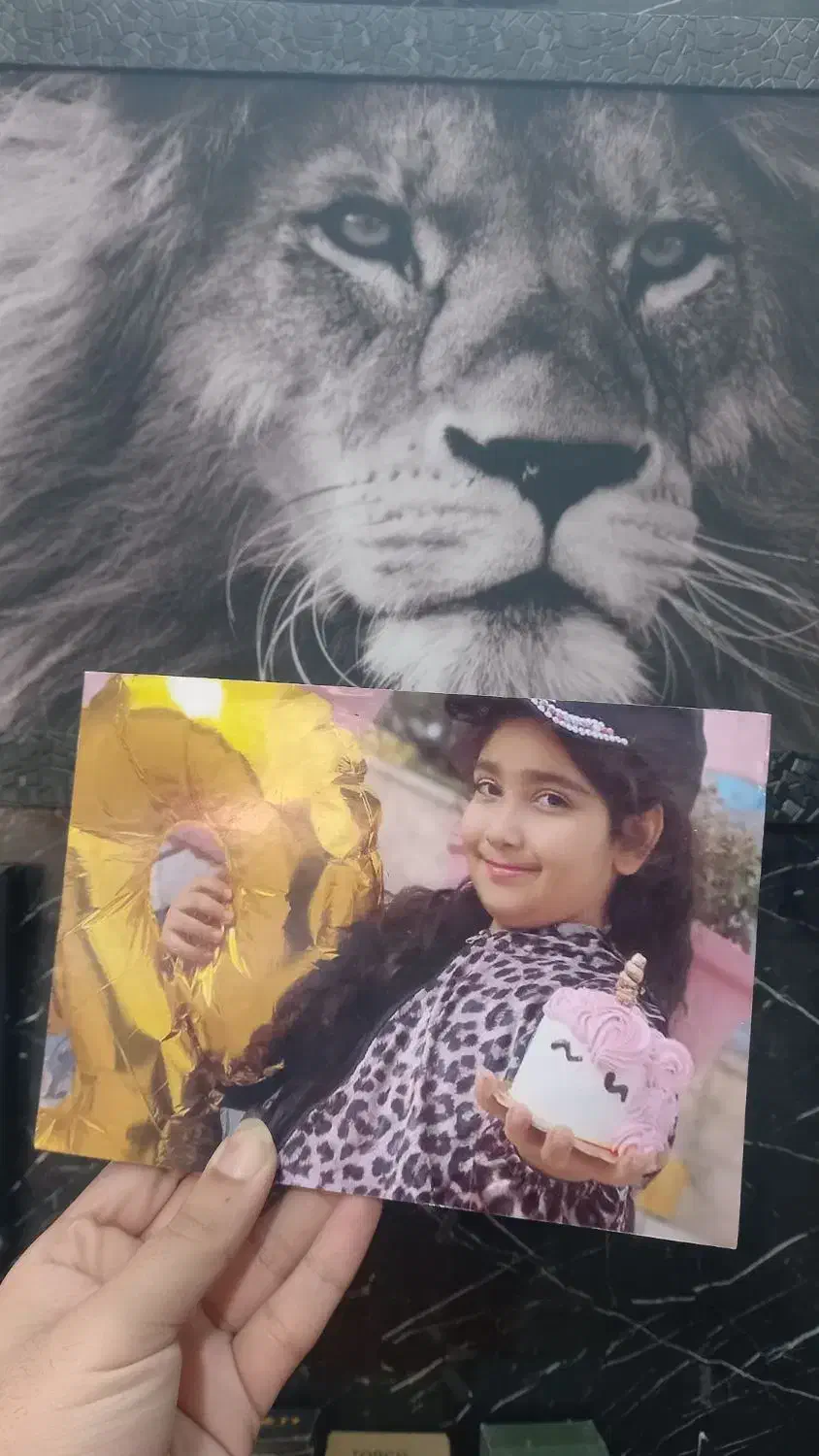 چاپ عکس برگه گلاسه و شاسی همه سایز|خدمات رایانهای و موبایل|مشهد, هنرور|دیوار