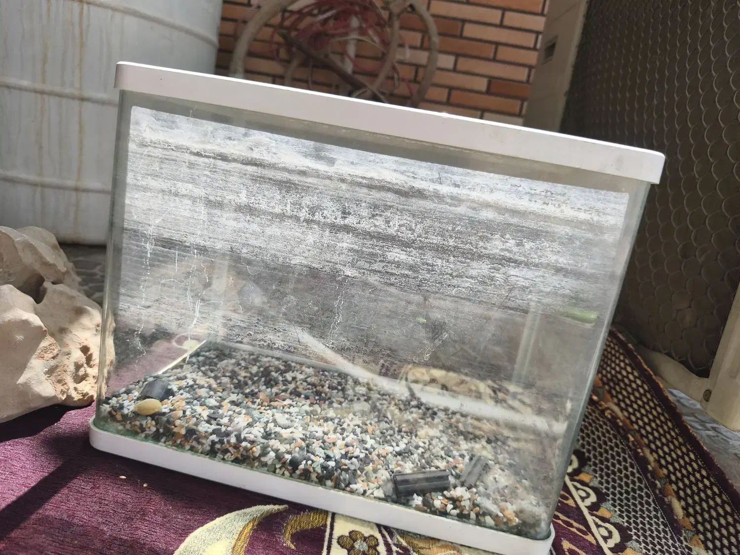 وقت بخیر آکواریوم شرکتی خمیده بدون جزعی ترین عیب|ماهی|اهواز, زرگان|دیوار