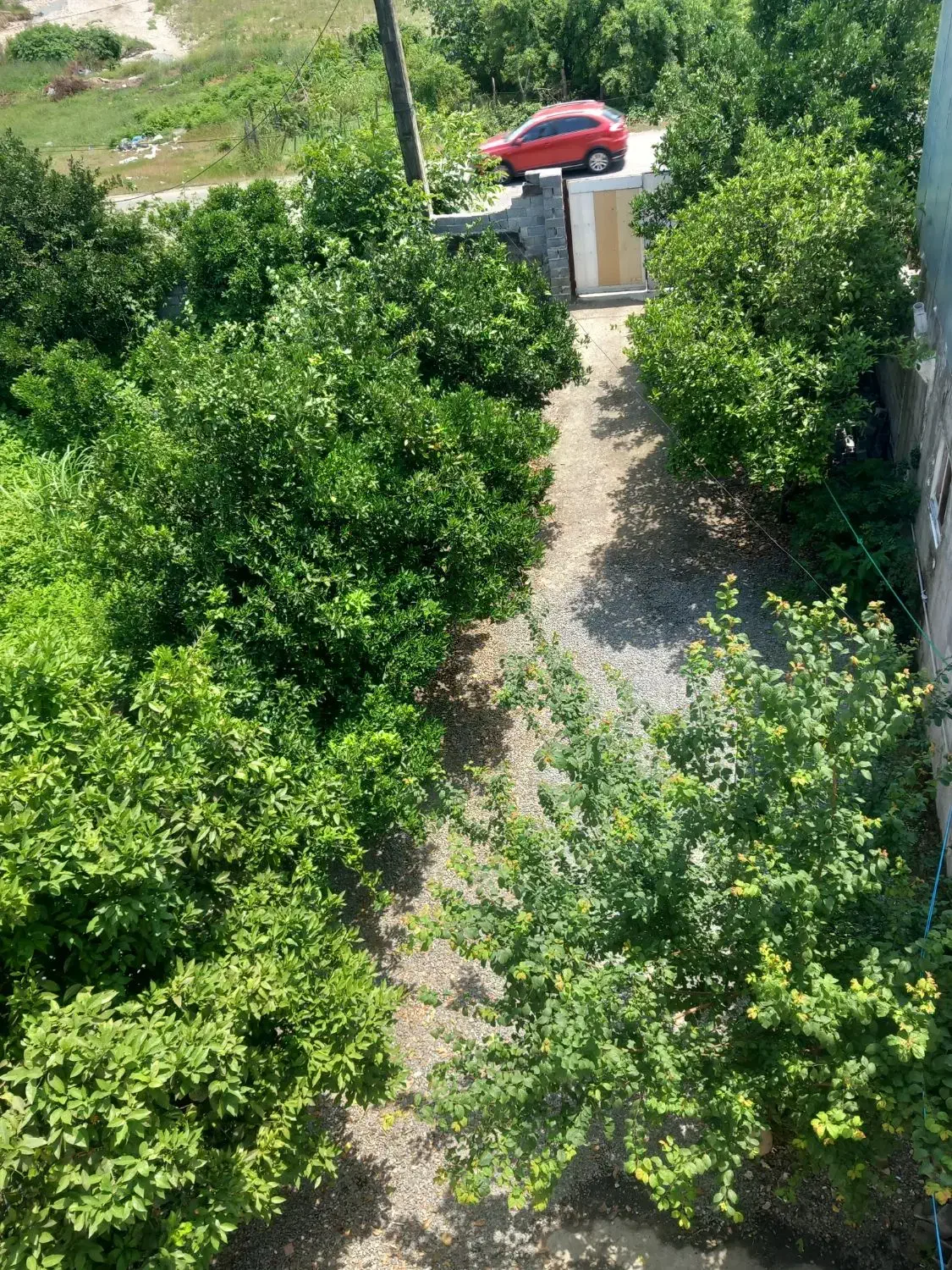 اجاره ویلا وسوییت شبانه|اجارهٔ کوتاه‌مدت ویلا و باغ|چمستان, |دیوار