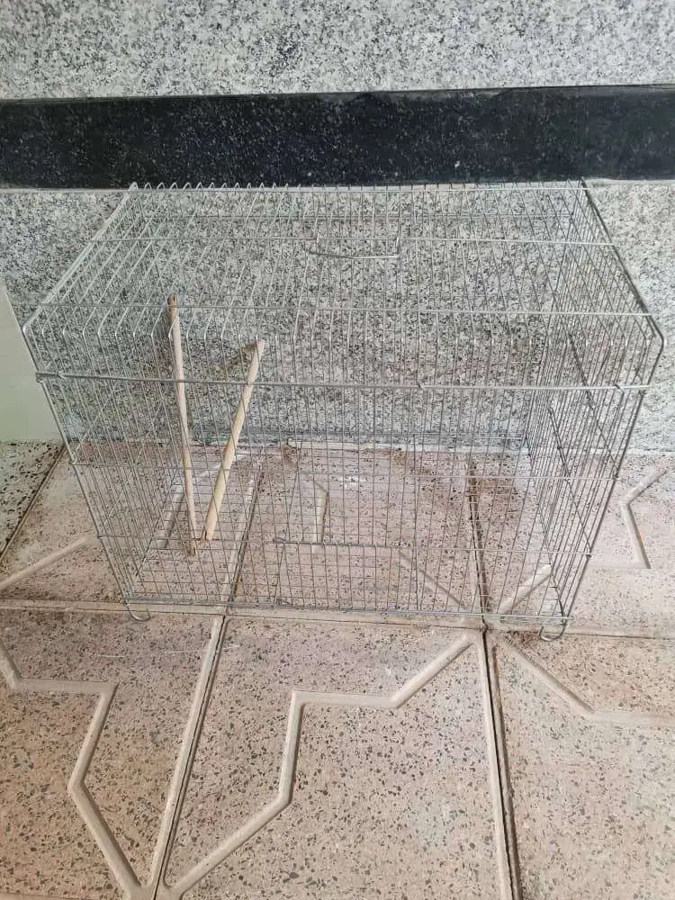 لوازم پرنده|لوازم جانبی حیوانات|ابرکوه, |دیوار