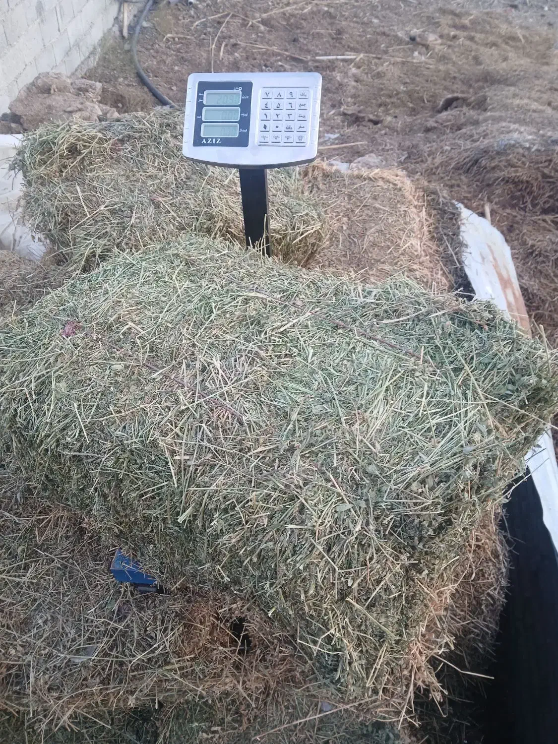 یونجه چین دوم|خدمات باغبانی و درختکاری|دره رود, |دیوار