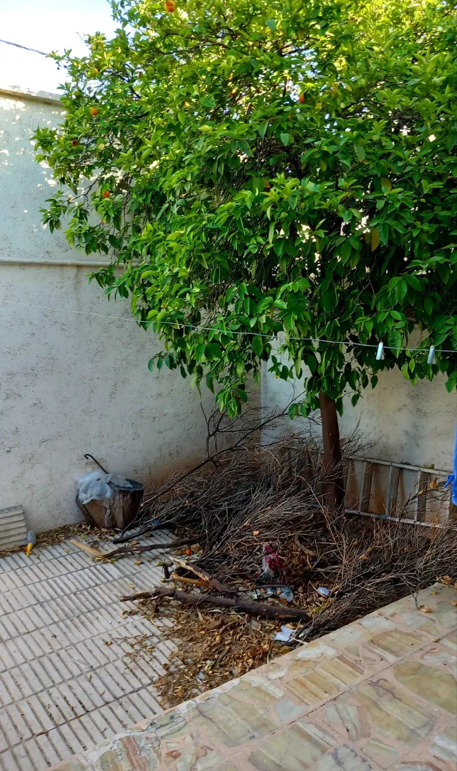 تصویر 8