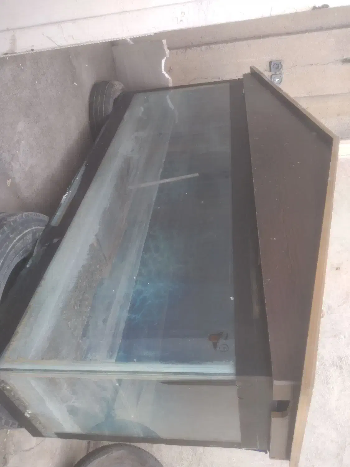 آکواریوم|ماهی|شیراز, محراب|دیوار