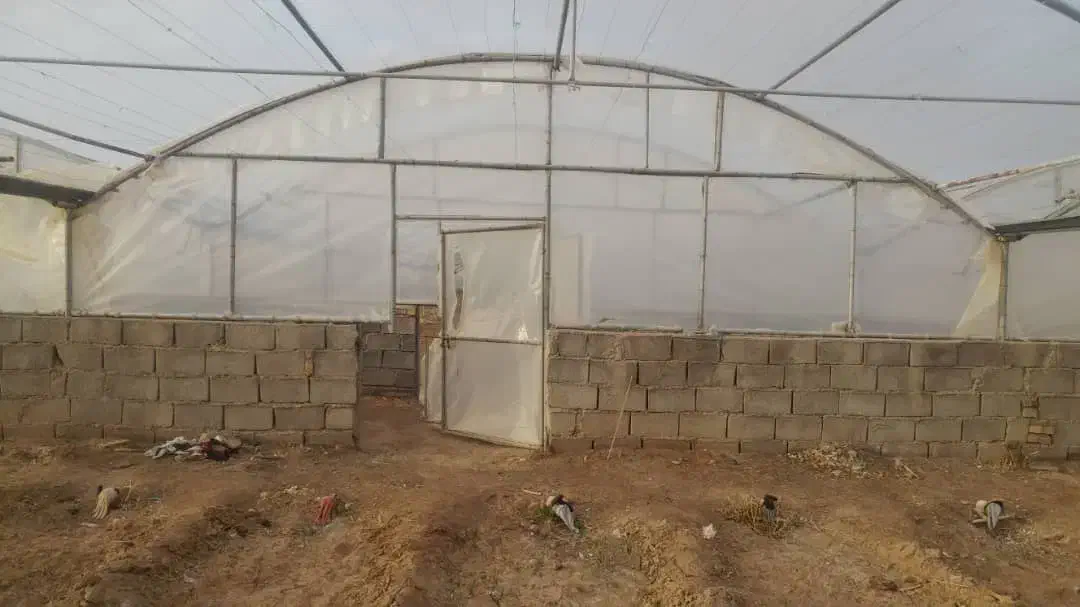 سازه گلخانه 1100 متر|مصالح و تجهیزات ساختمان|دزفول, |دیوار