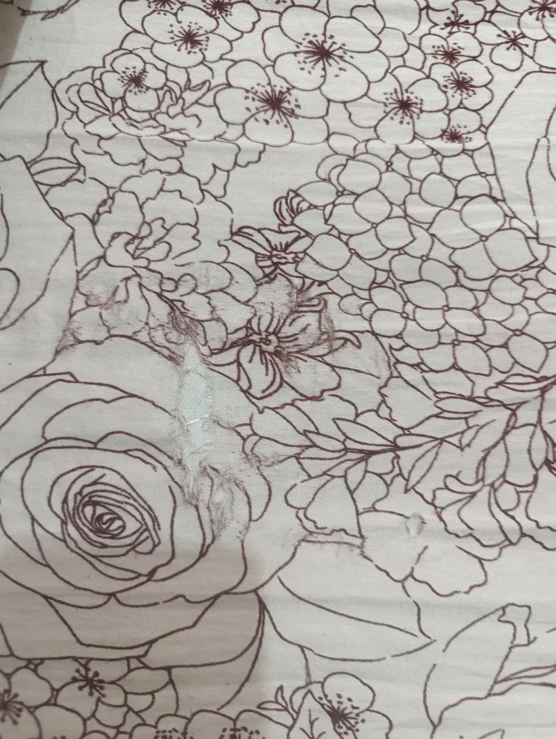 روتختی|سرویس روتختی|مشهد, امیریه|دیوار