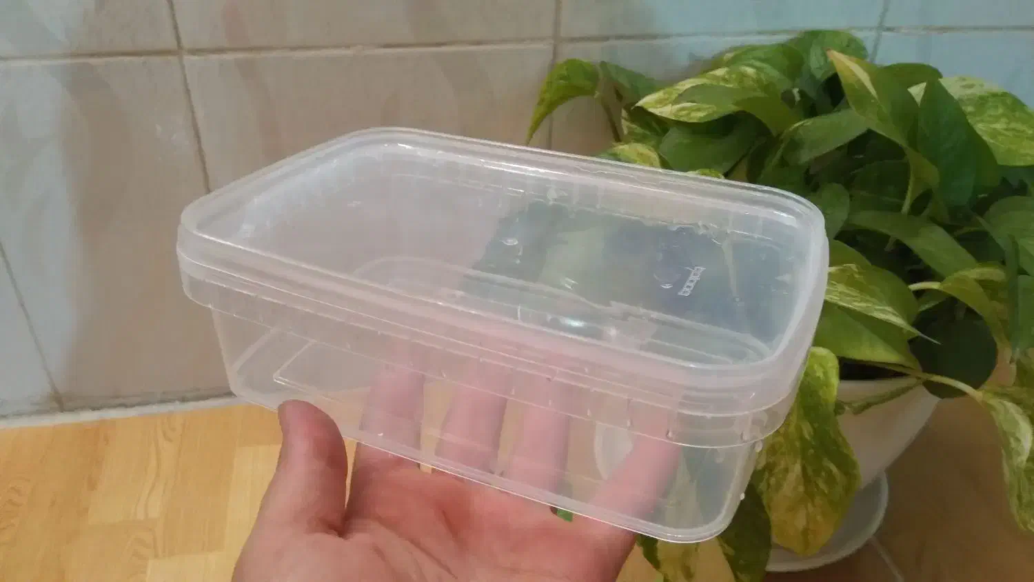 ظرف در دار|ظروف نگهدارنده، پلاستیکی، یک‌بارمصرف|گالیکش, |دیوار