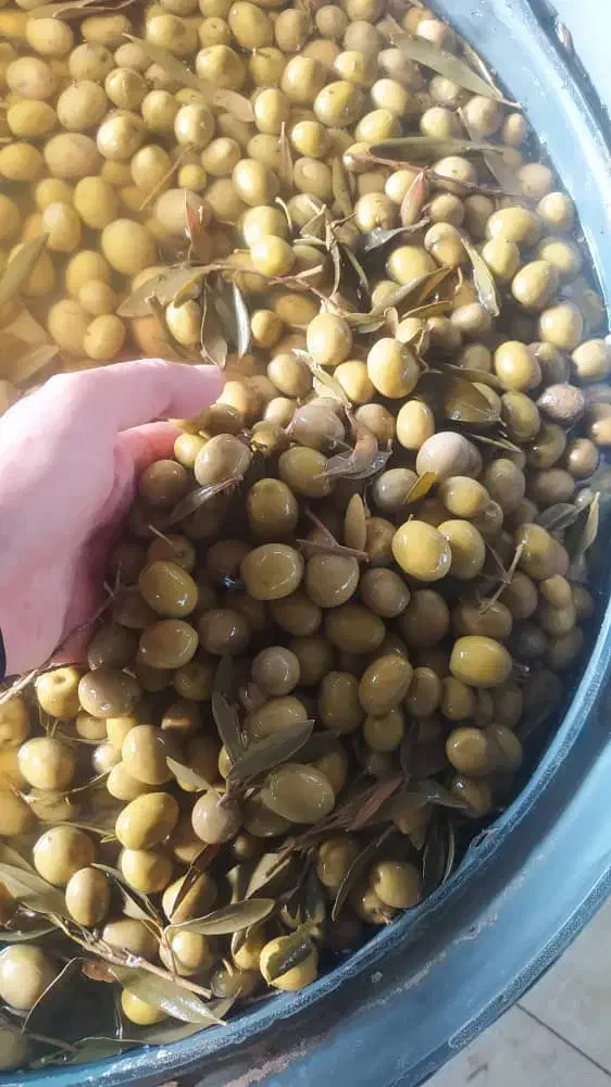 تخم مرغ زیتون خیارشور ترشیجات چای|عمدهفروشی|اصفهان, شهید رجایی|دیوار