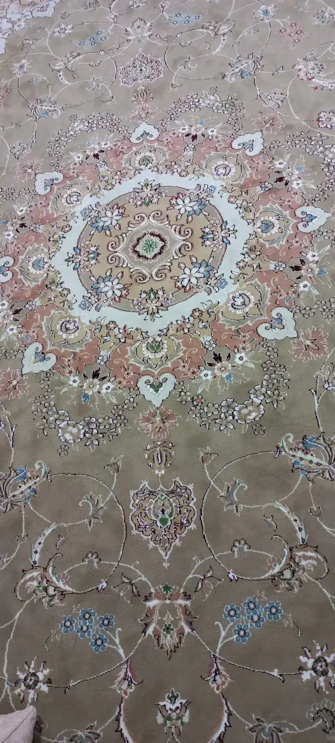 فرش|فرش|دورود, |دیوار