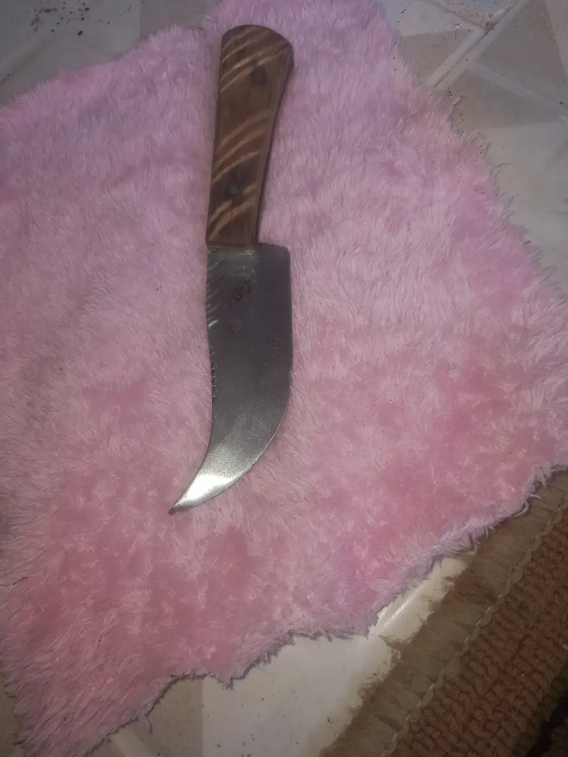 چاقو زنجان|کلکسیون اشیاء عتیقه|مشهد, الهیه|دیوار