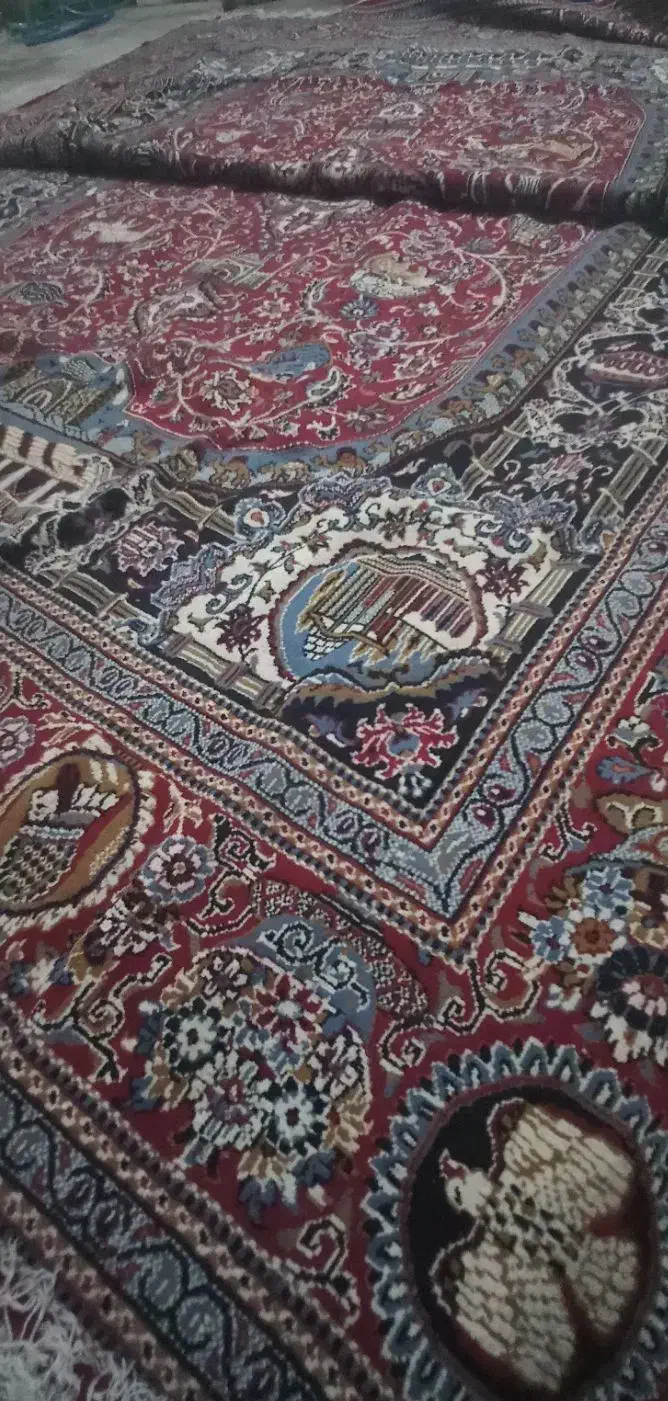 فرش ۱۲ متری کاملا سالم وتمیز|فرش|خورموج, |دیوار