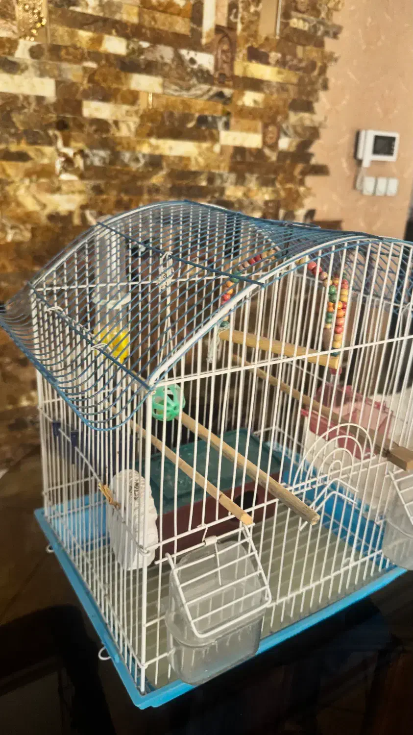 قفسه پرنده|لوازم جانبی حیوانات|کرج, مهرویلا جنوبی|دیوار