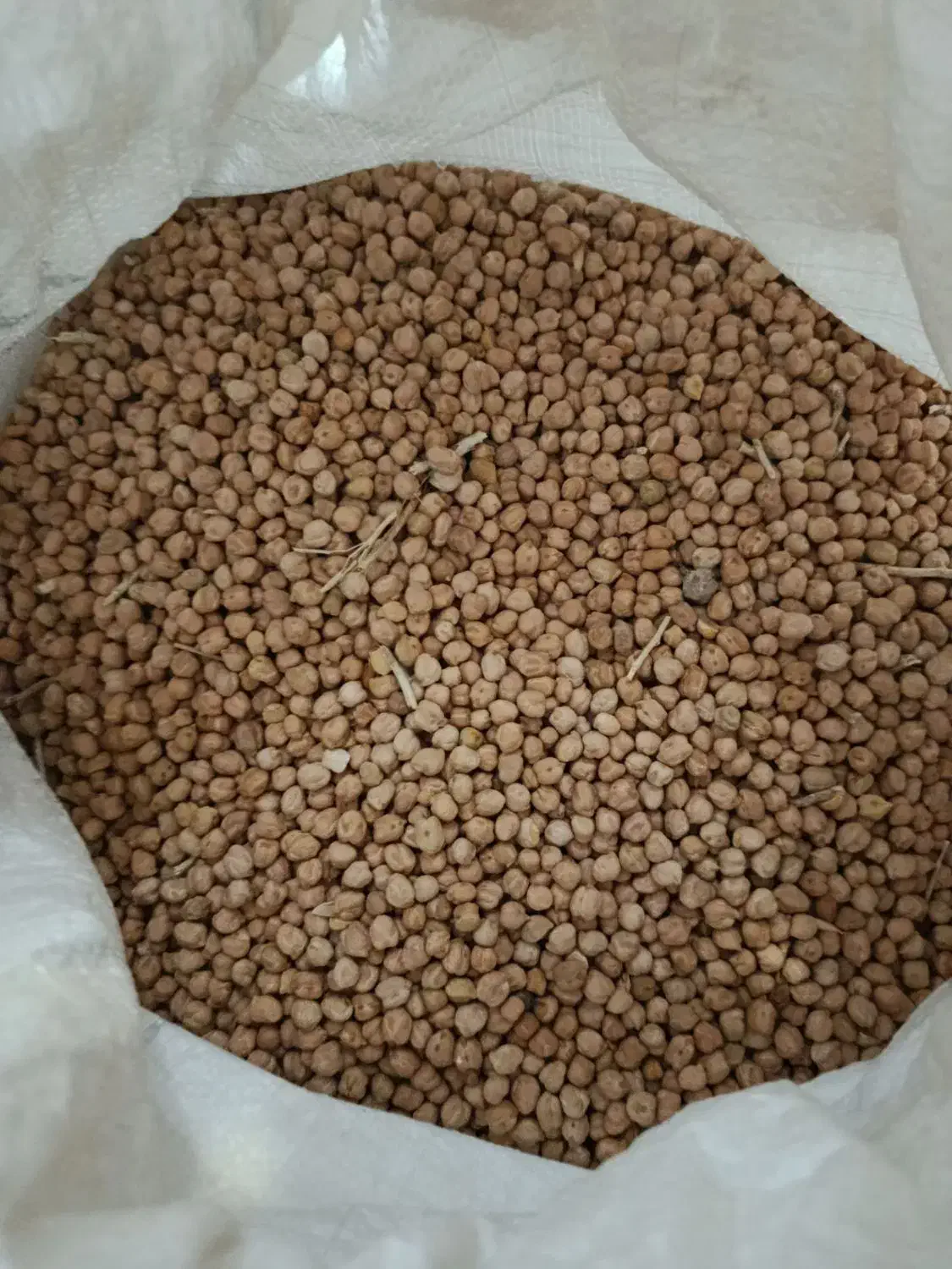 نخود|خوردنی و آشامیدنی|ایجرود, |دیوار