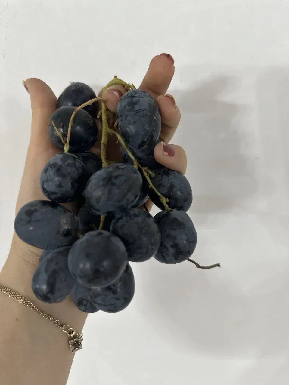 نهال انگور یاسین|خدمات باغبانی و درختکاری|ارومیه, |دیوار