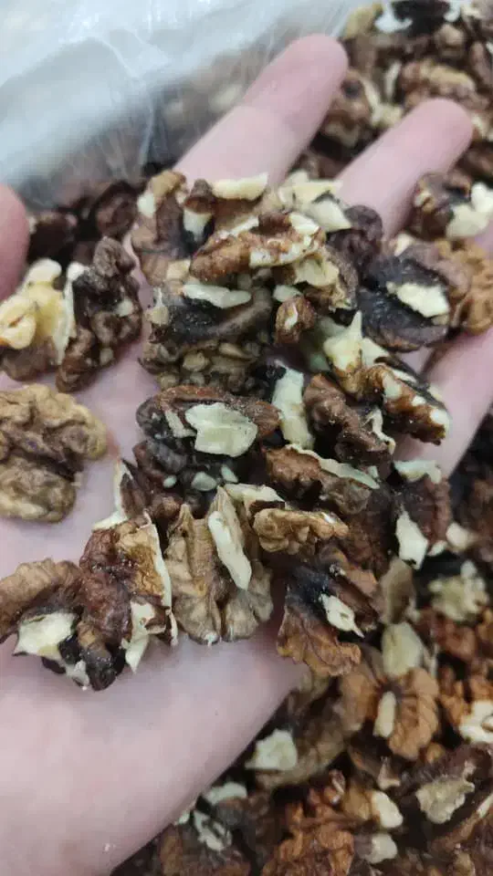 مغز گردوی فسنجانی|خوردنی و آشامیدنی|پاوه, |دیوار