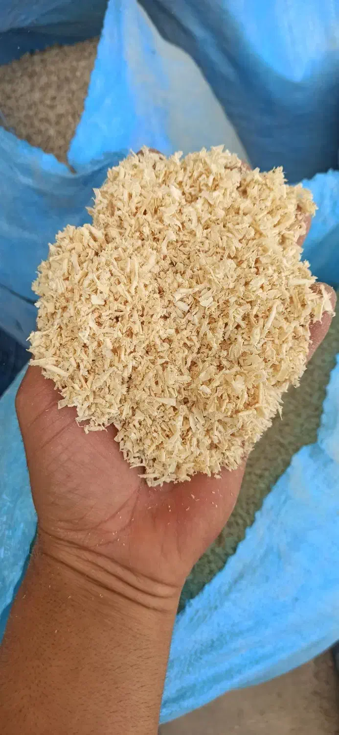 خشک و تمیز|آرایشی، بهداشتی، درمانی|بوشهر, |دیوار