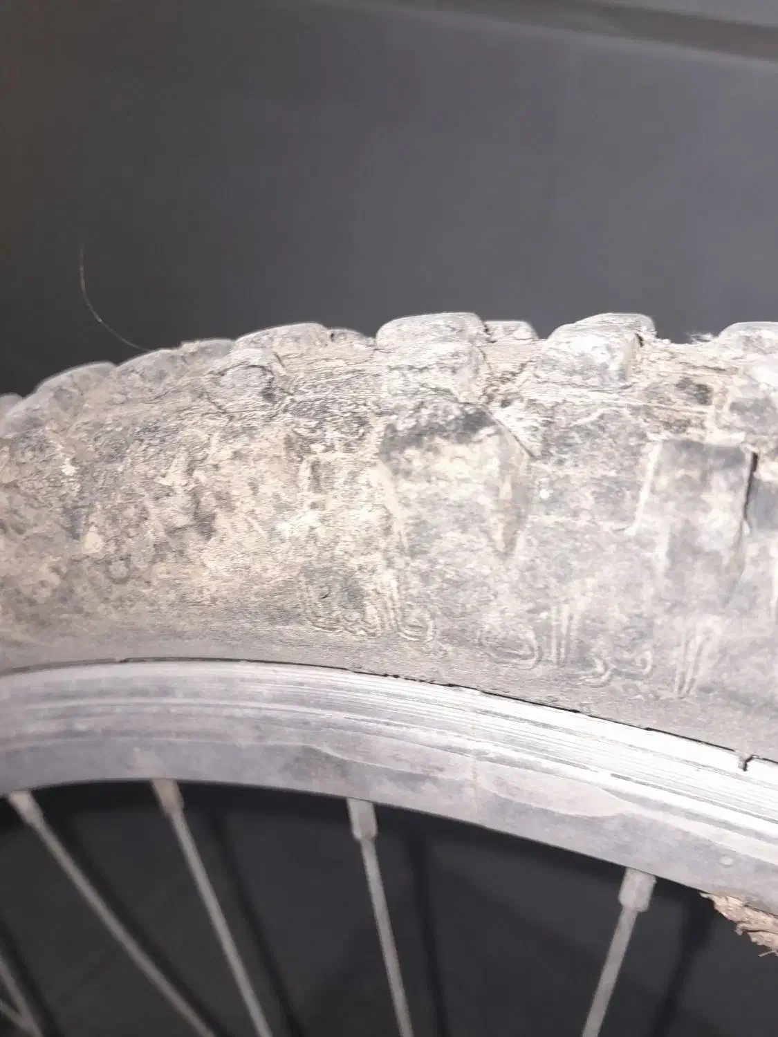 دوچرخه ۲۶|دوچرخه، اسکیت، اسکوتر|الشتر, |دیوار