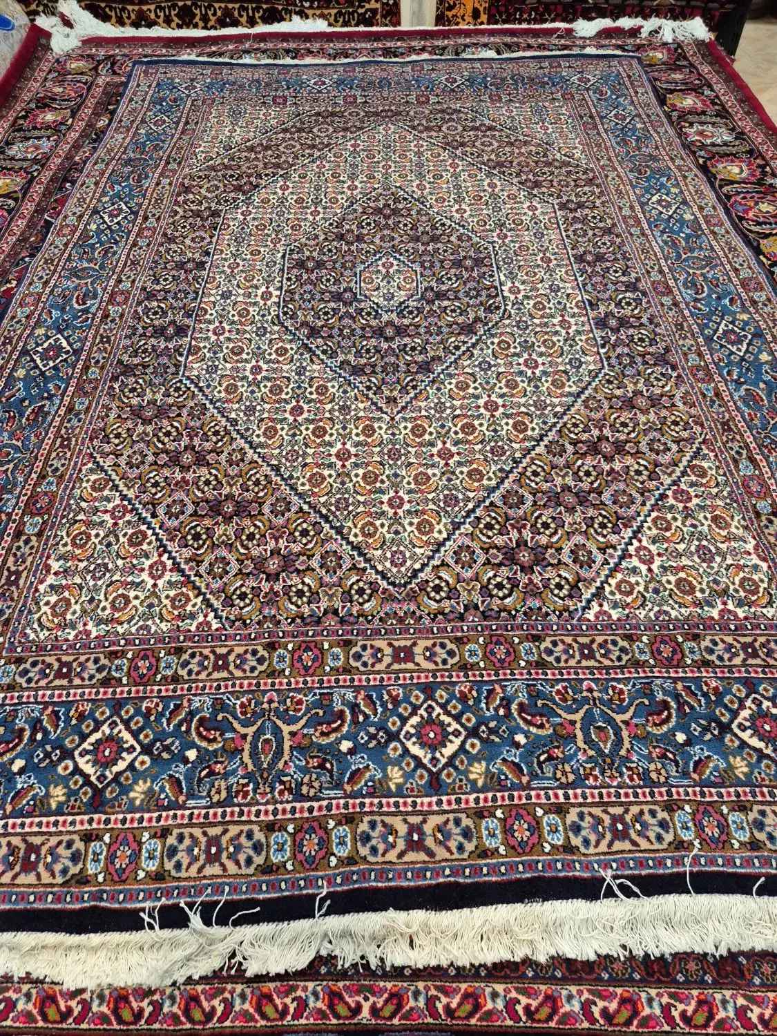 فرش دستباف تک ۶ متری بیرجند. گالری فرش ایران|فرش|مشهد, حجت|دیوار