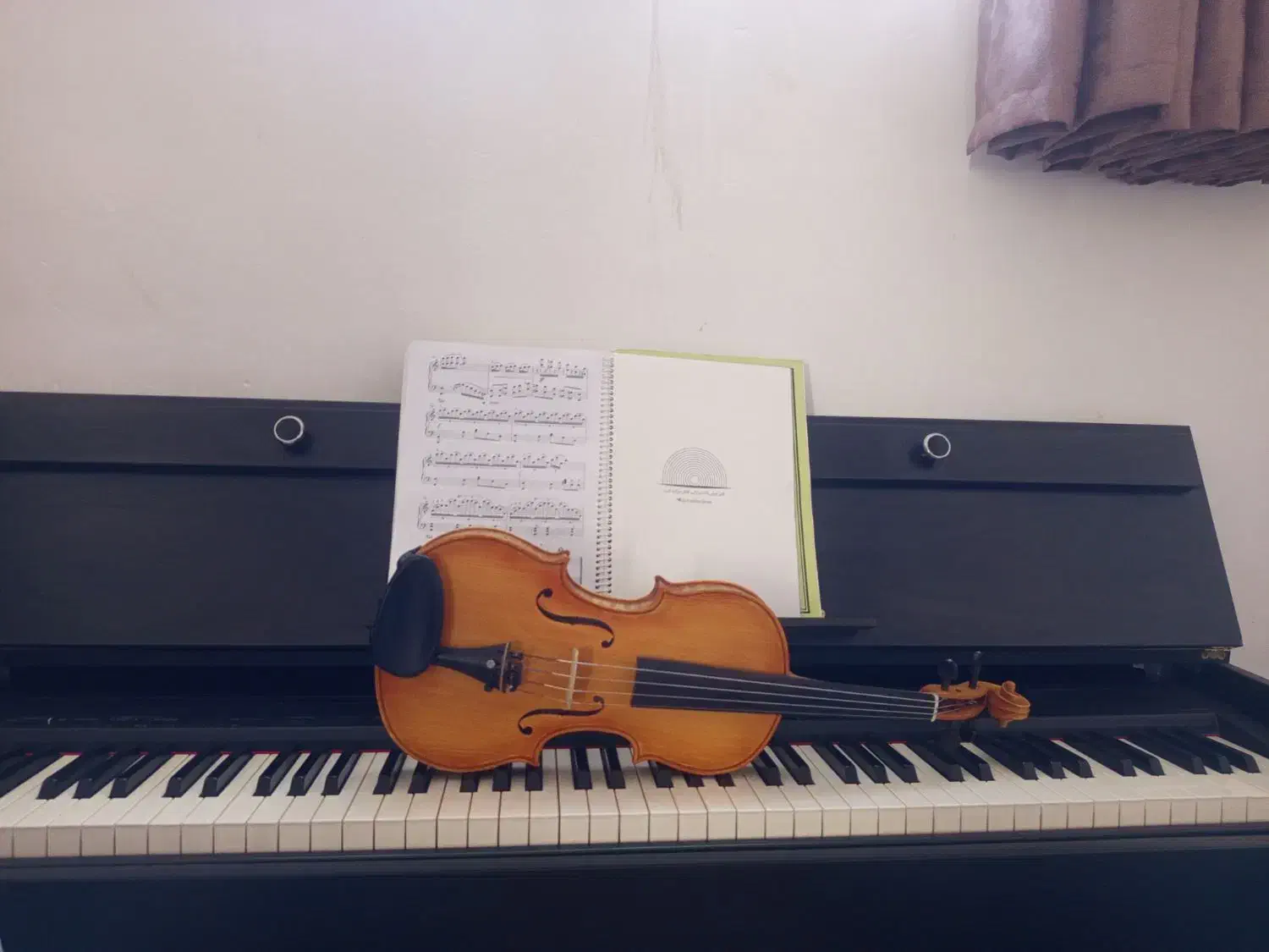 ساخت ویولن های مشقی تا حرفه ای|ویولن|استهبان, |دیوار