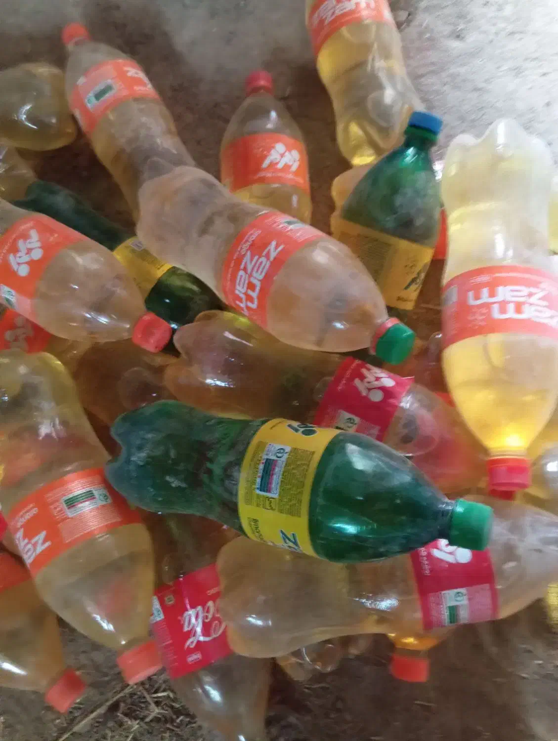 پلاستیک|ظروف نگهدارنده، پلاستیکی، یکبارمصرف|هیرمند, |دیوار