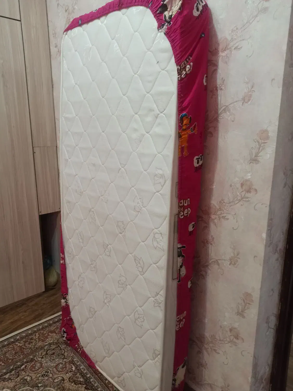 تشگ|تشک تختخواب|مشگین شهر, |دیوار