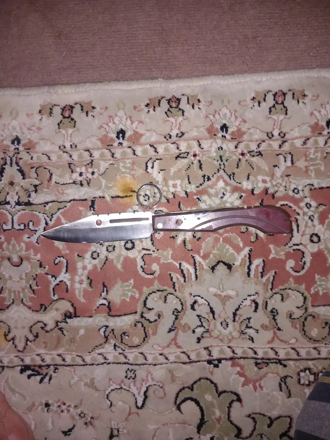 دو عدد چاقو|کوهنوردی و کمپینگ|ری, حمزهآباد|دیوار