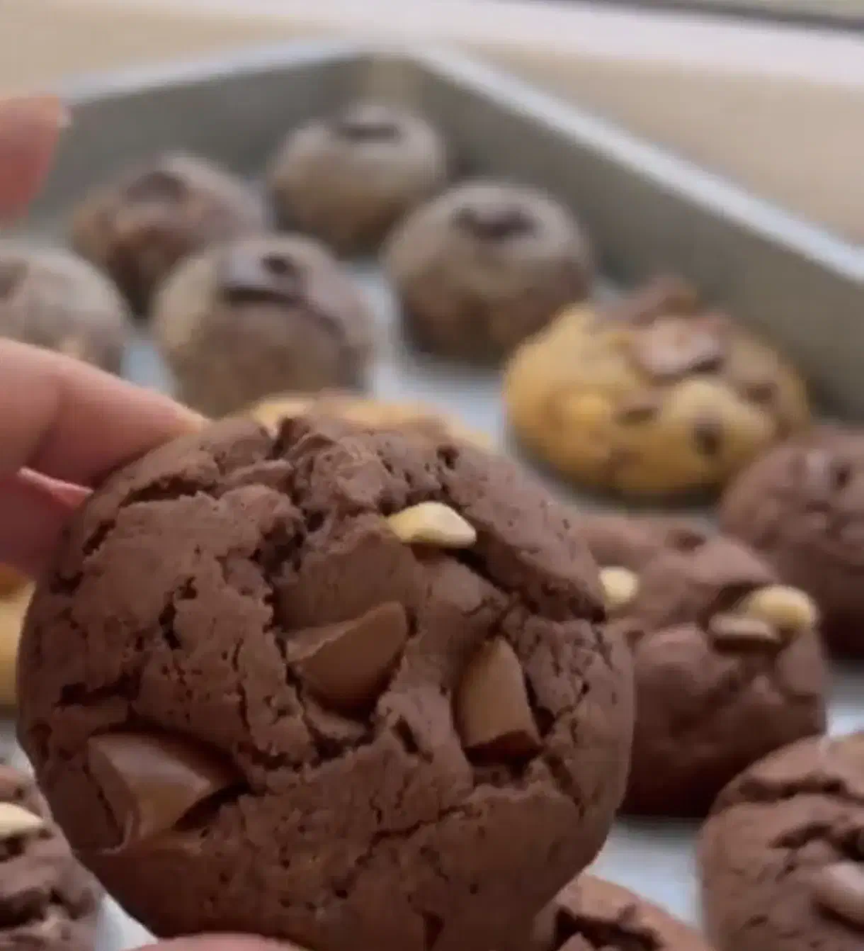 کوکی های خانگی|خوردنی و آشامیدنی|لاهیجان, مهرگان|دیوار