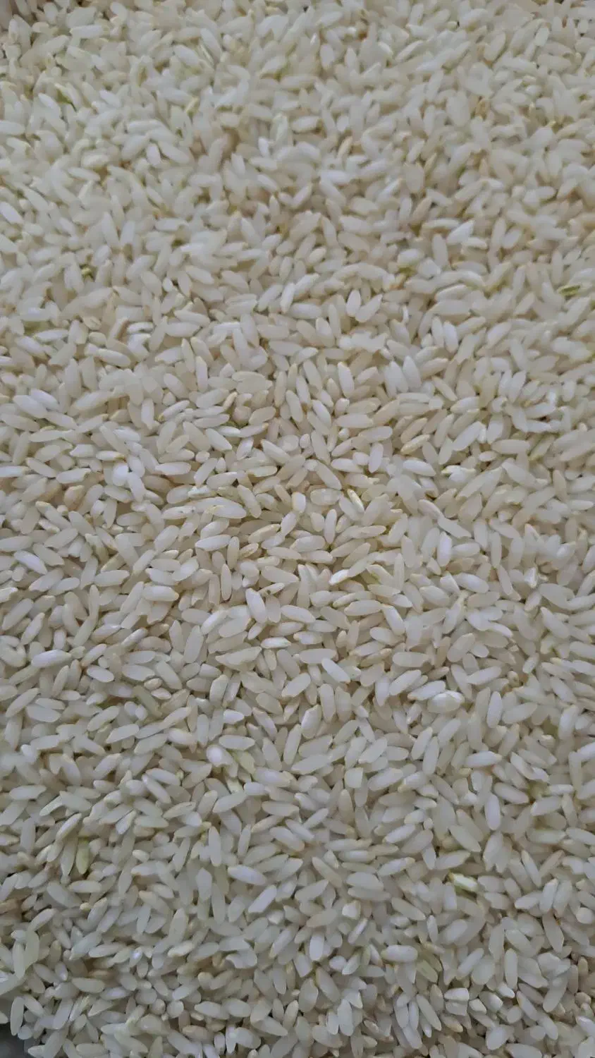 برنج چمپا لری درج یک کیلو ۲۷۰هزارتومان.|خوردنی و آشامیدنی|فلارد, |دیوار