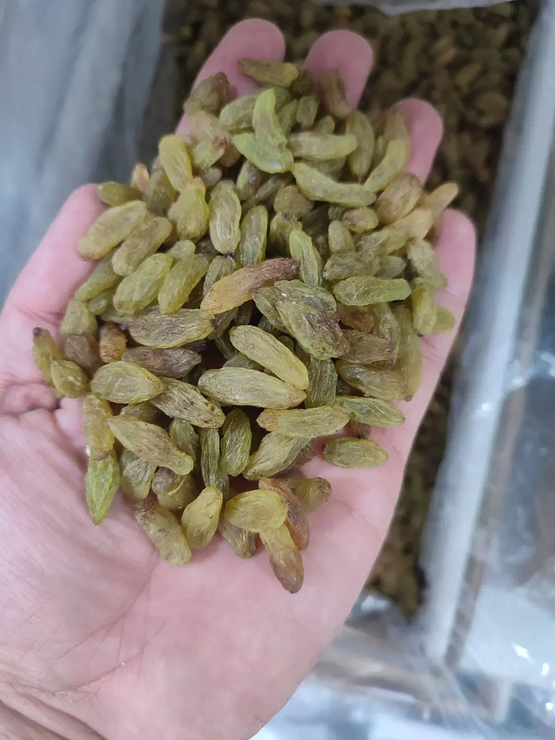 کشمش سبز|خوردنی و آشامیدنی|بیرجند, |دیوار