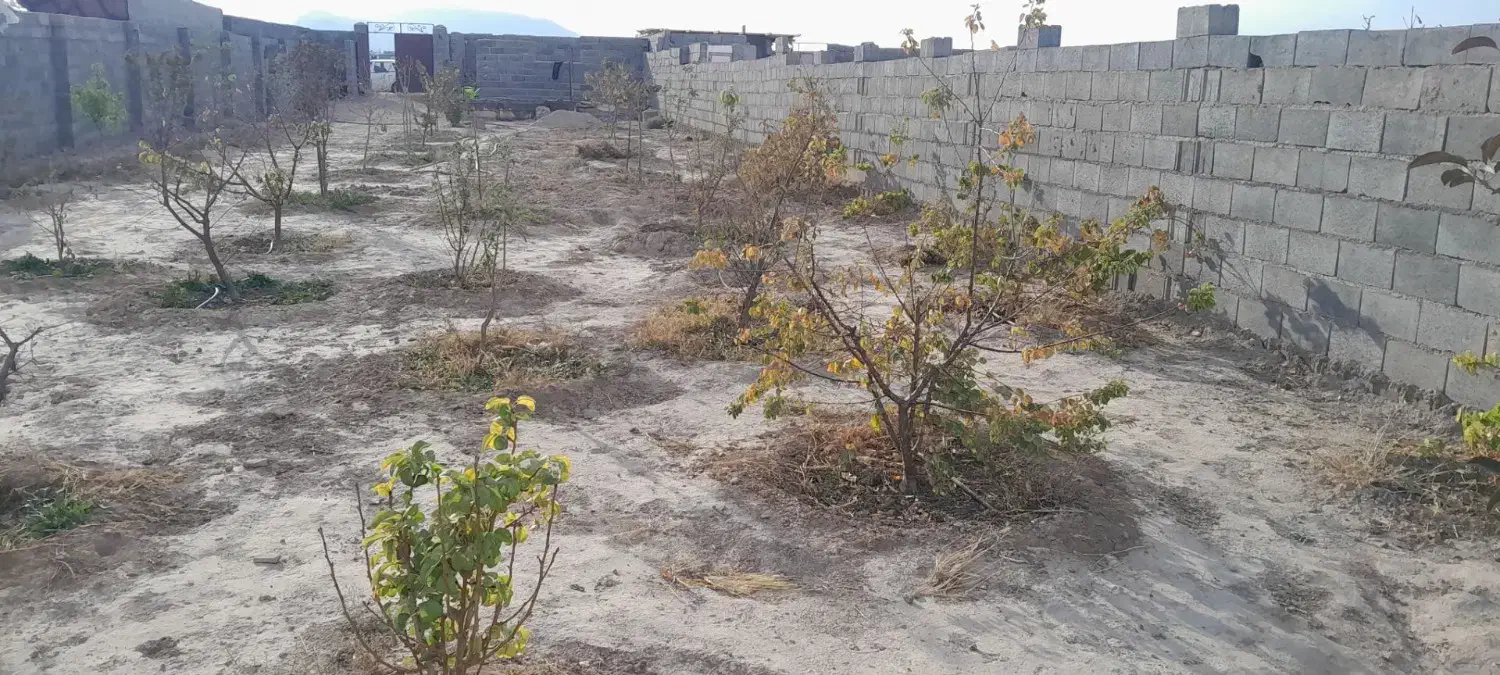 فروش باغ روبروی شهرک رضوی بسطام|فروش زمین و ملک کلنگی|بسطام, |دیوار