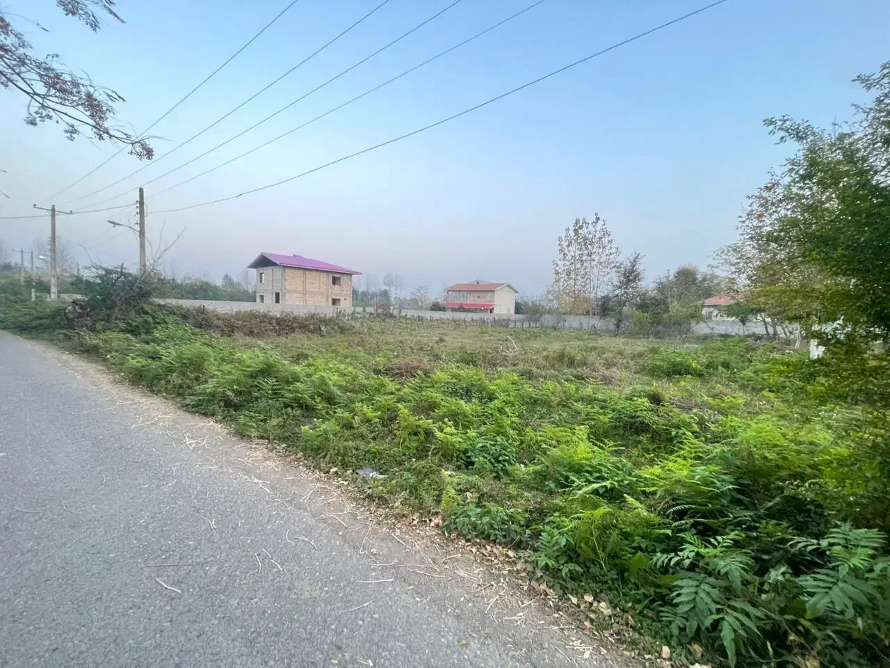 فروش زمین مسکونی سند تک برگ|فروش زمین و ملک کلنگی|شاندرمن, |دیوار