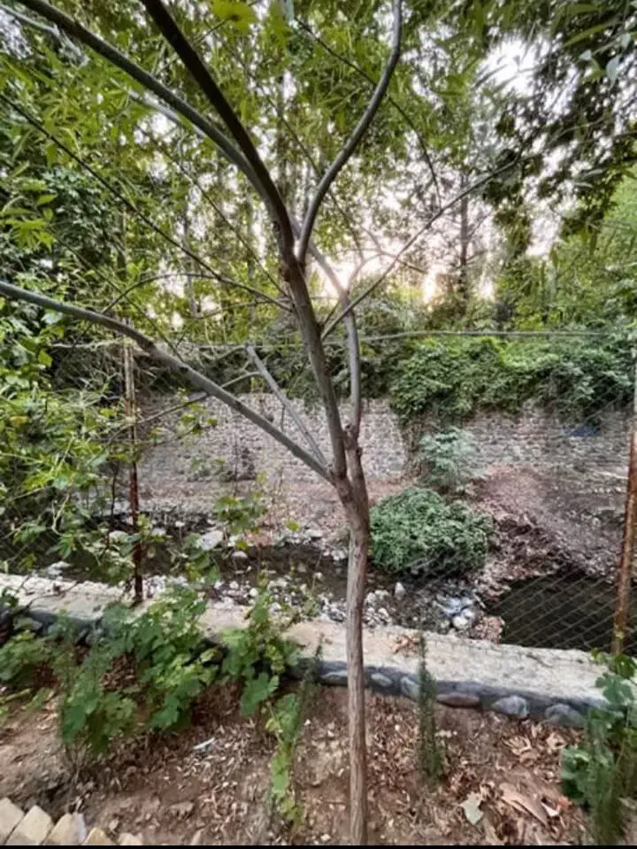 به یک زوج یا مرد مجرد جهت چرخاندن مجموعه|استخدام سرایداری و نظافت|کوهسار (البرز), |دیوار