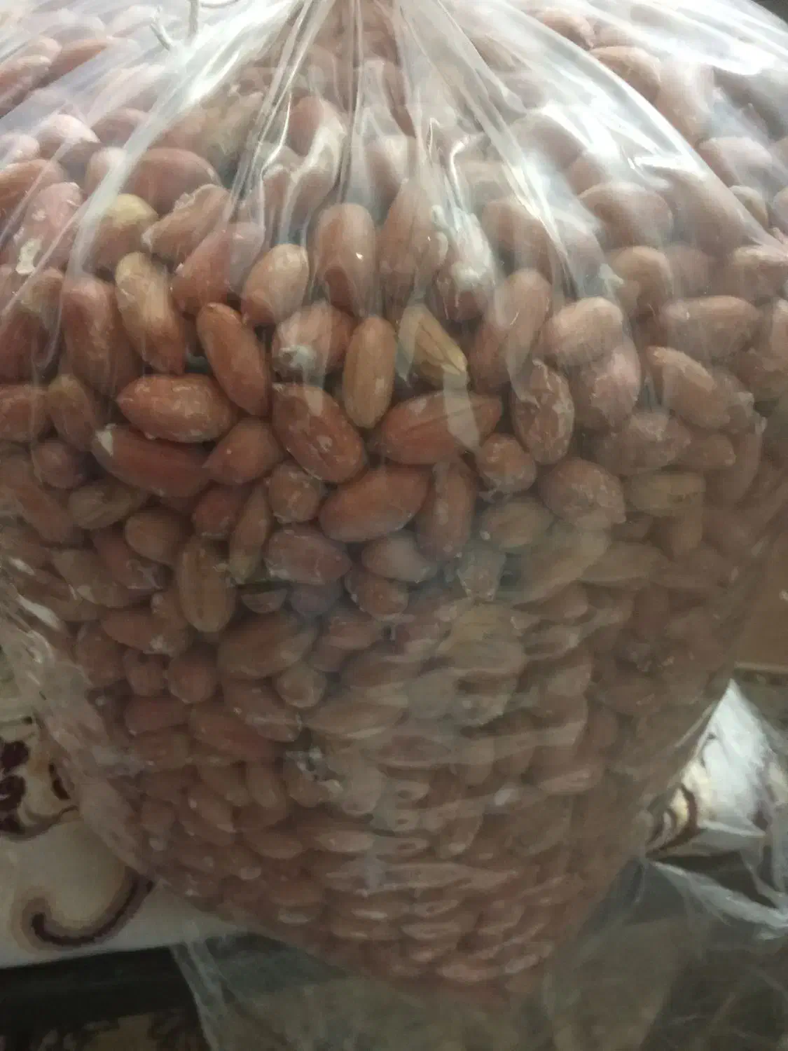 بادام گردو عسل|خوردنی و آشامیدنی|رامسر, |دیوار