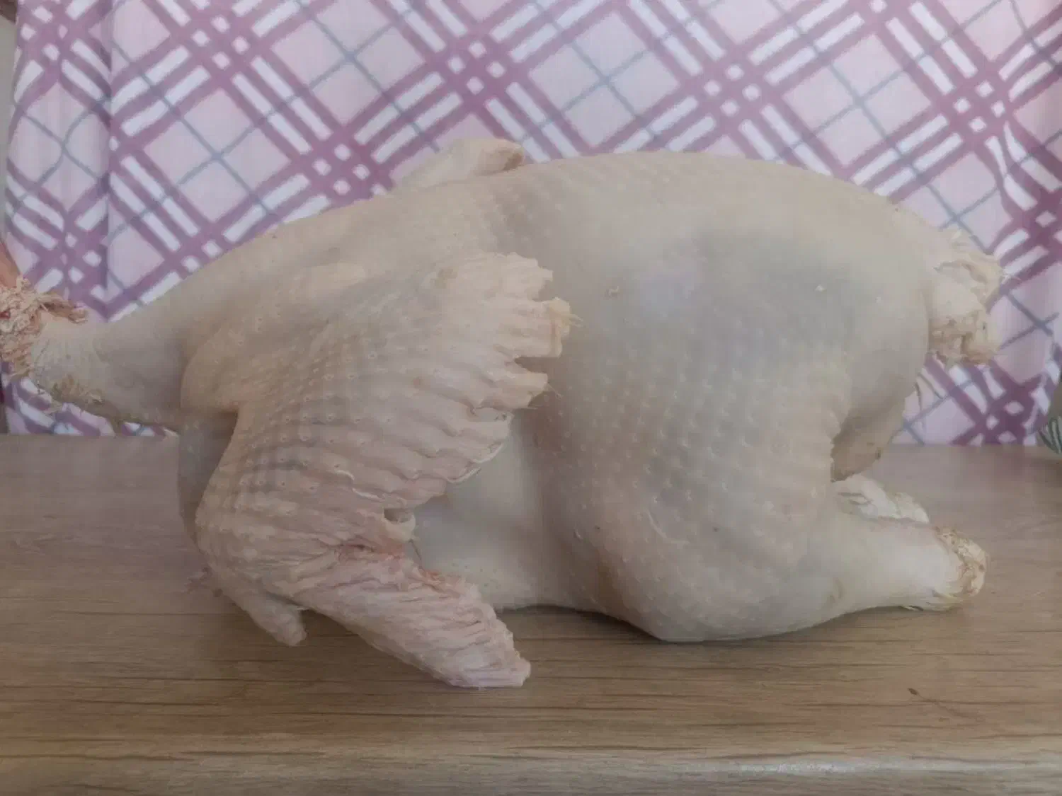 گوشت بوقلمون|خوردنی و آشامیدنی|شاهرود, |دیوار