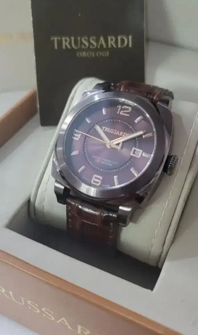 تروساردی اصل سوئیس|ساعت|تهران, سلسبیل شمالی|دیوار