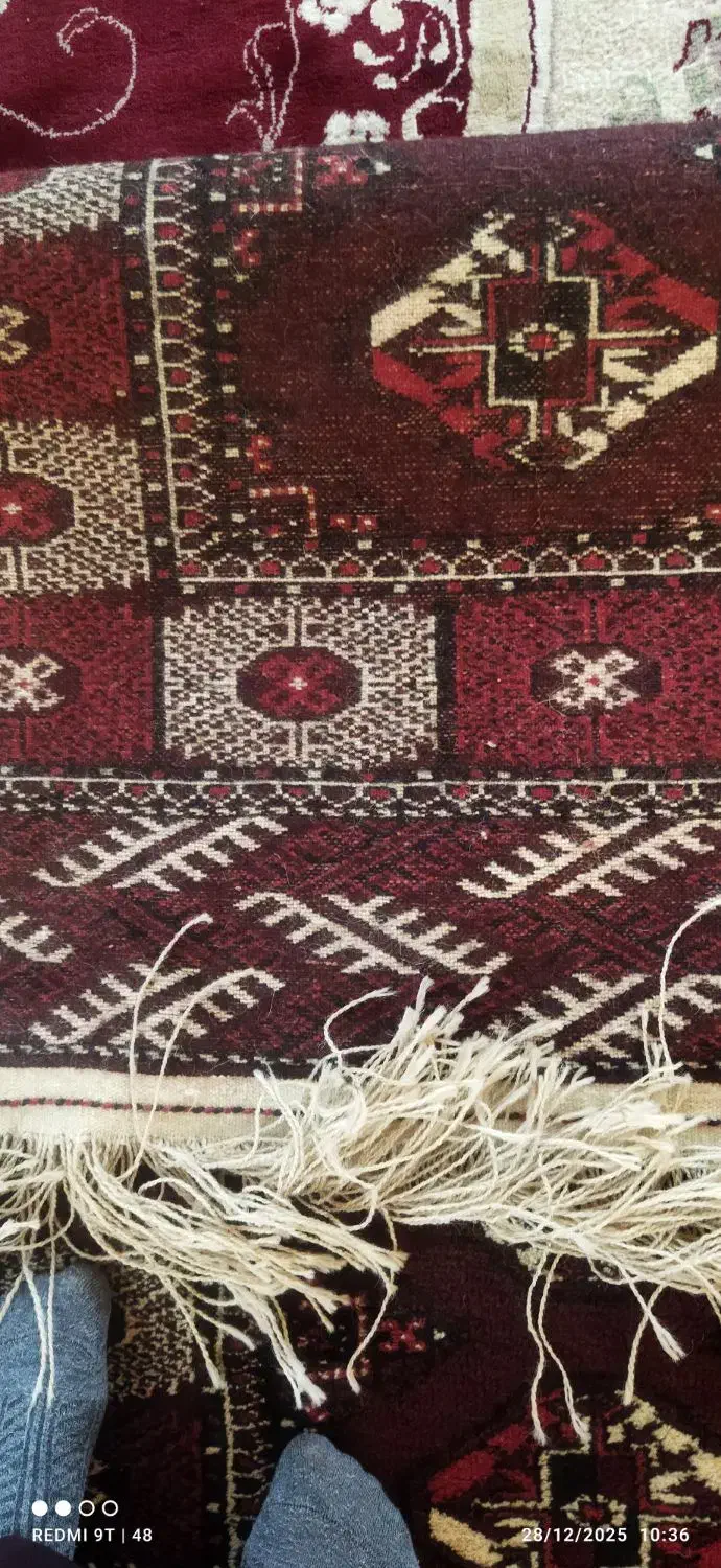 فرش دستبافت|فرش|گنبد کاووس, |دیوار