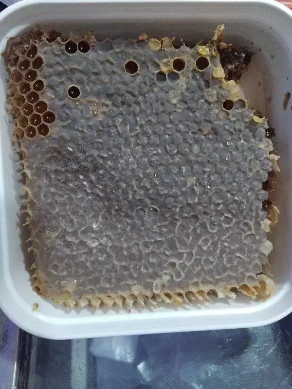 عسل سبلان|خوردنی و آشامیدنی|تهران, خاک سفید|دیوار