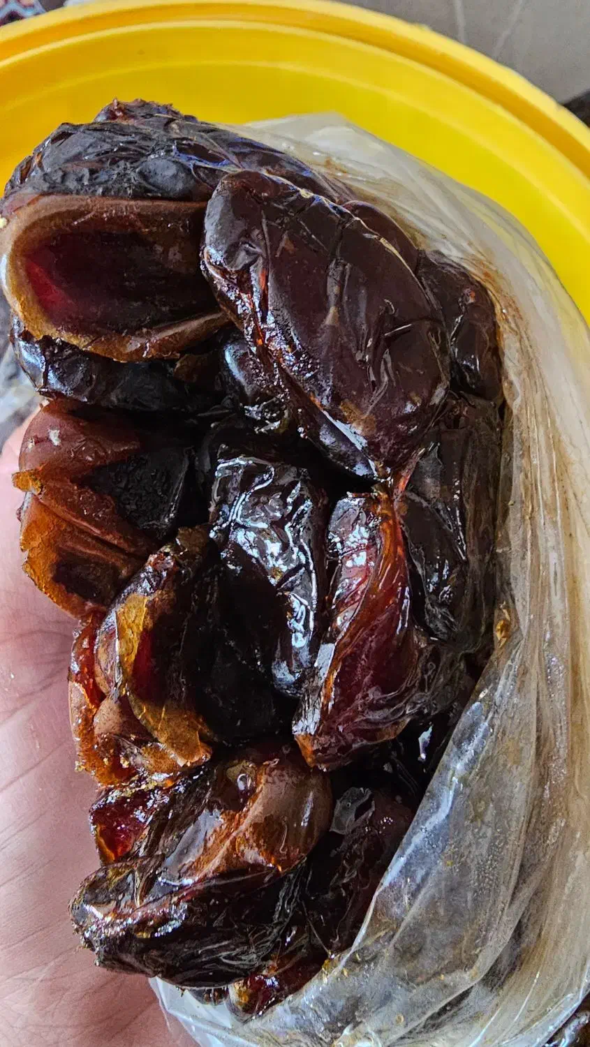 خرمای کبکاب درجه یک|خوردنی و آشامیدنی|جم, |دیوار